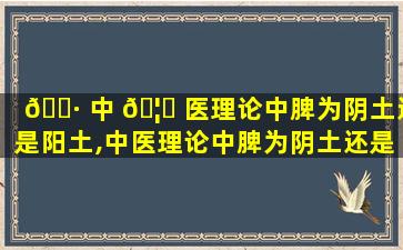 🌷 中 🦍 医理论中脾为阴土还是阳土,中医理论中脾为阴土还是阳土呢